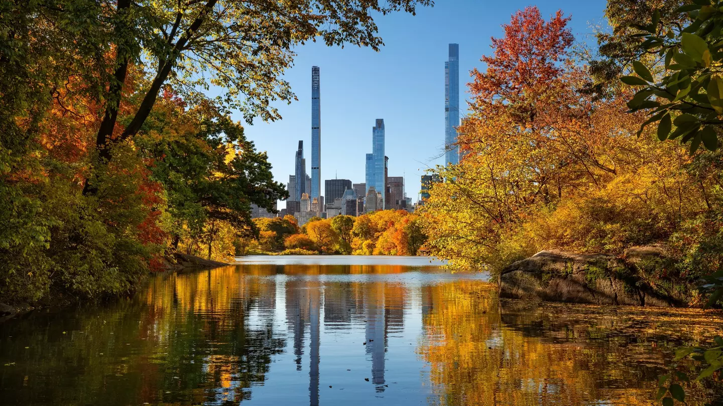 Central Park, New York City.