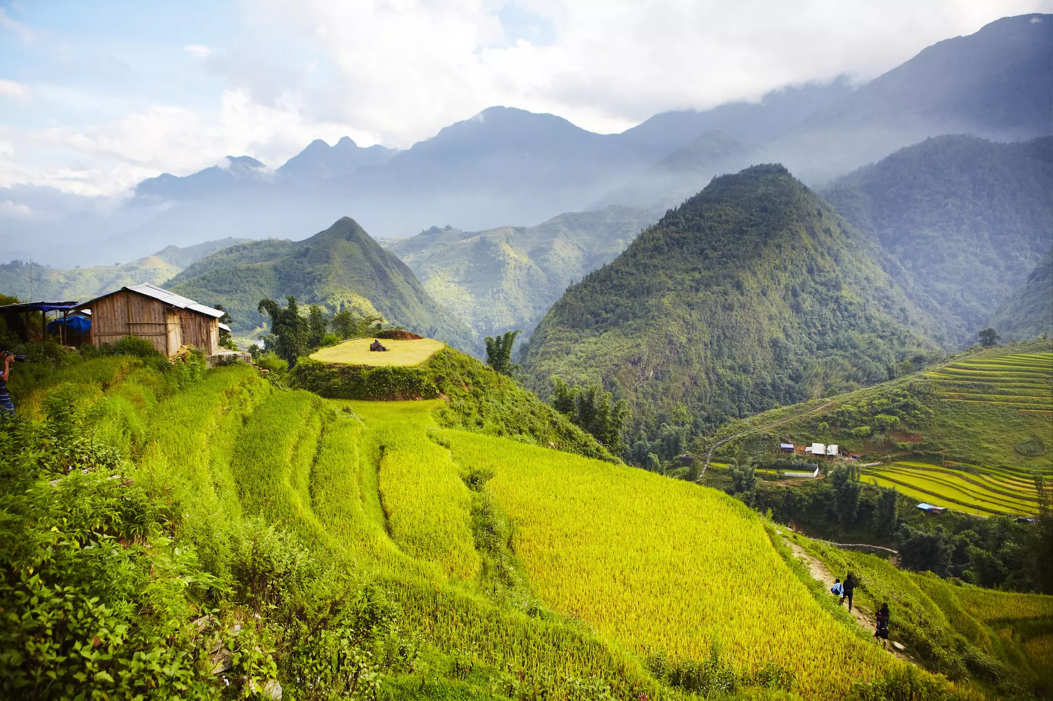 Bright green rice terraces in a mountainous region in northern Vietnam. 