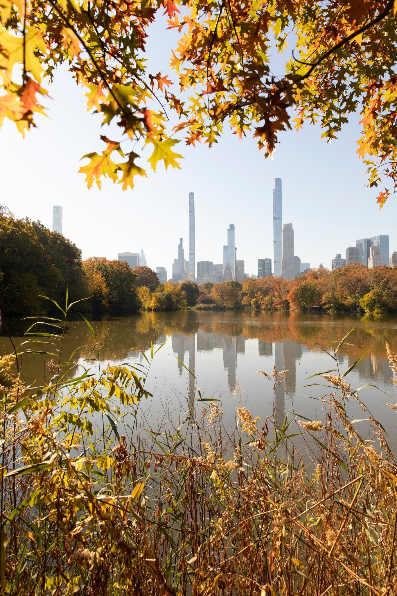 Central Park autumn foliage scenery , License Type: media, Download Time: 2025-03-13T18:27:03.000Z, User: rhylton_redventures, Editorial: false, purchase_order: 56530 - Guidebooks, job: Lonely Planet, client: Lonely Planet, other: Rhianydd Hylton