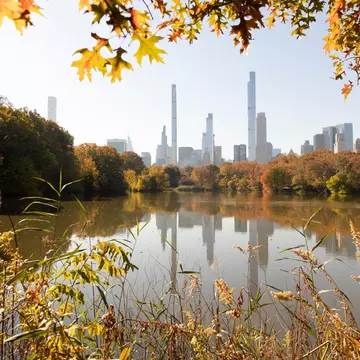 Central Park autumn foliage scenery , License Type: media, Download Time: 2025-03-13T18:27:03.000Z, User: rhylton_redventures, Editorial: false, purchase_order: 56530 - Guidebooks, job: Lonely Planet, client: Lonely Planet, other: Rhianydd Hylton