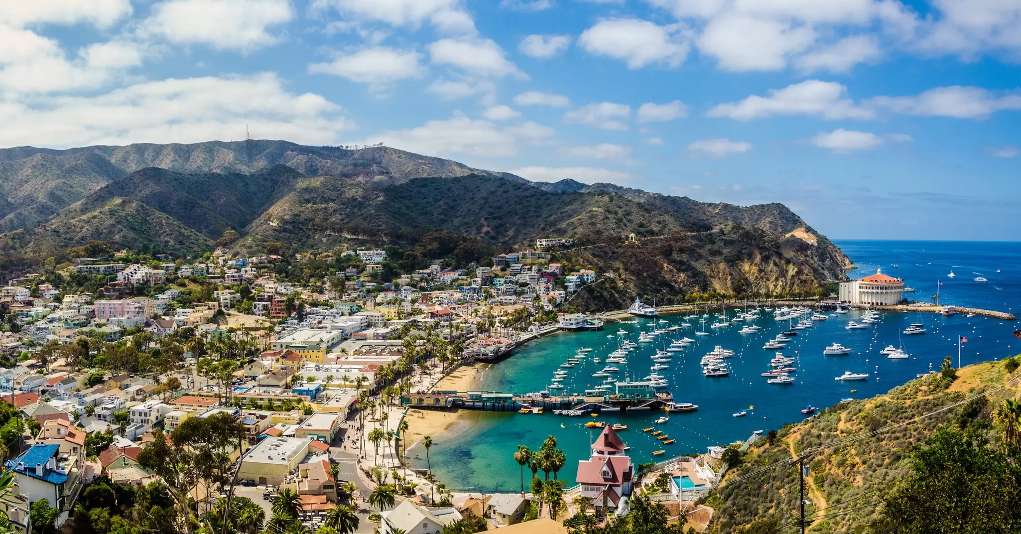 The harbor at Catalina Island, California. Chris Grant/Shutterstock