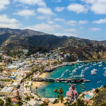 The harbor at Catalina Island, California. Chris Grant/Shutterstock