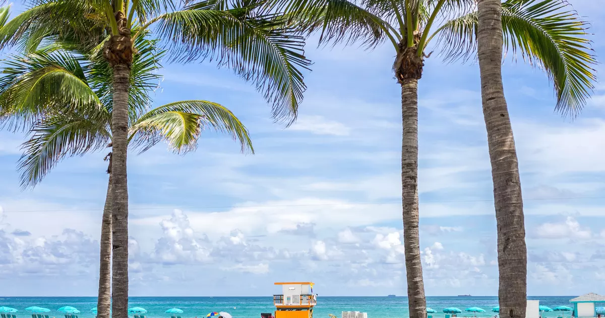 9 great things to do in Miami for free - Lonely Planet