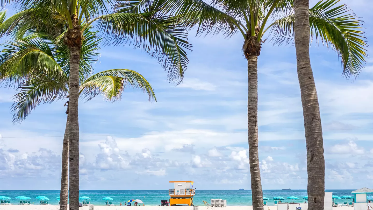 Most of Miami's beaches are completely free to visit © stbaus7 / Getty Images