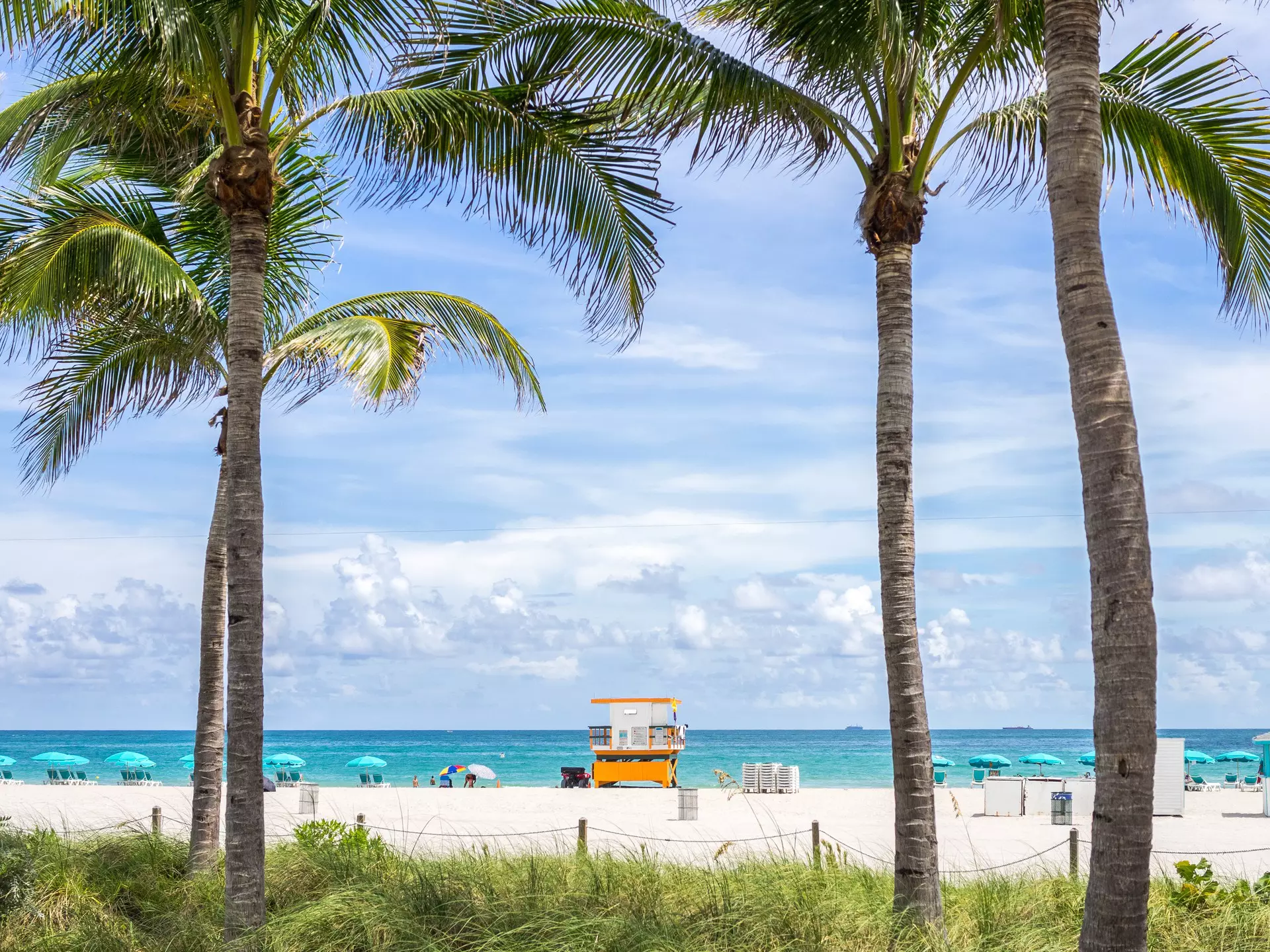 Most of Miami's beaches are completely free to visit © stbaus7 / Getty Images