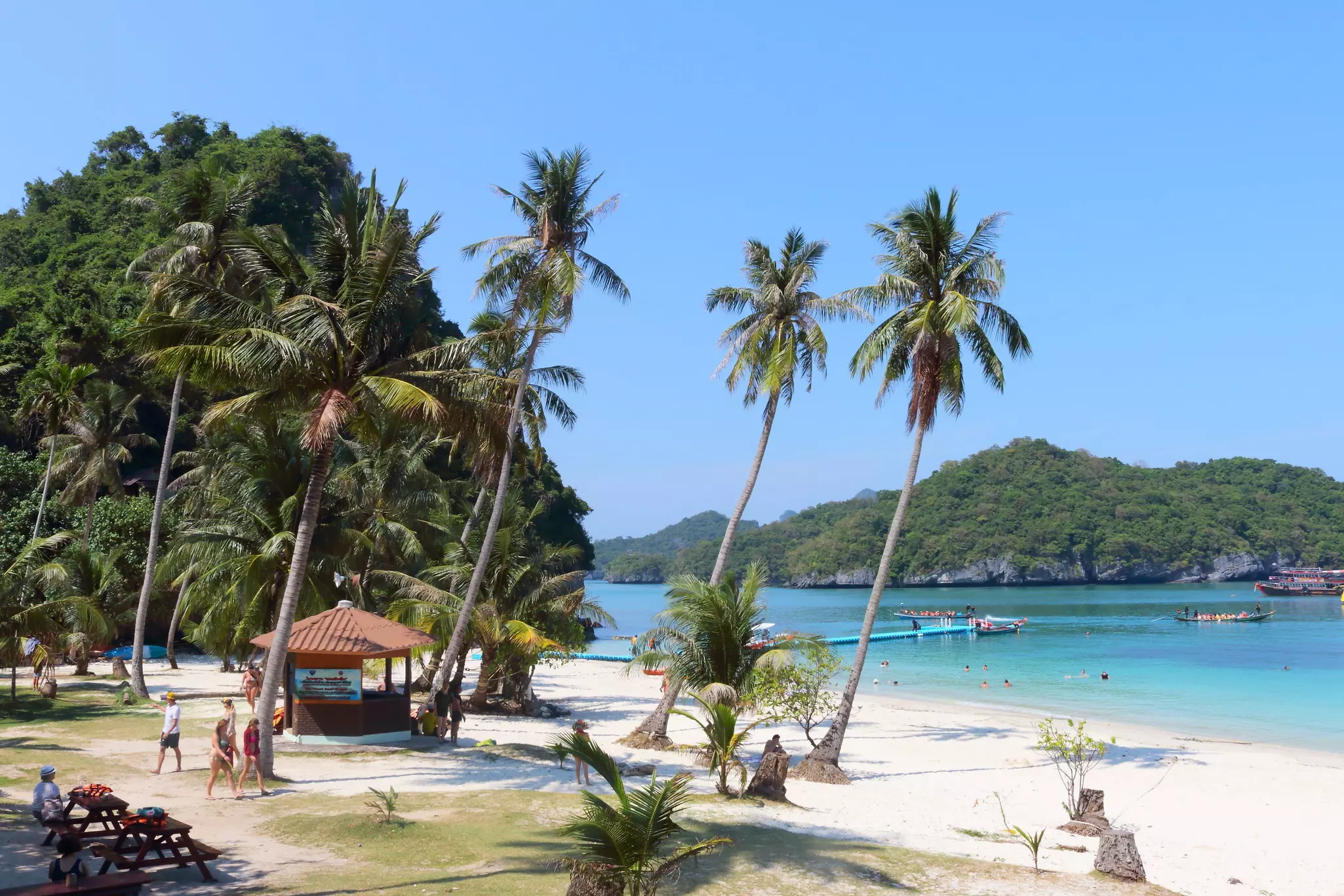 Beach, trees and some boats in the water at Ang Thong Marine National Park