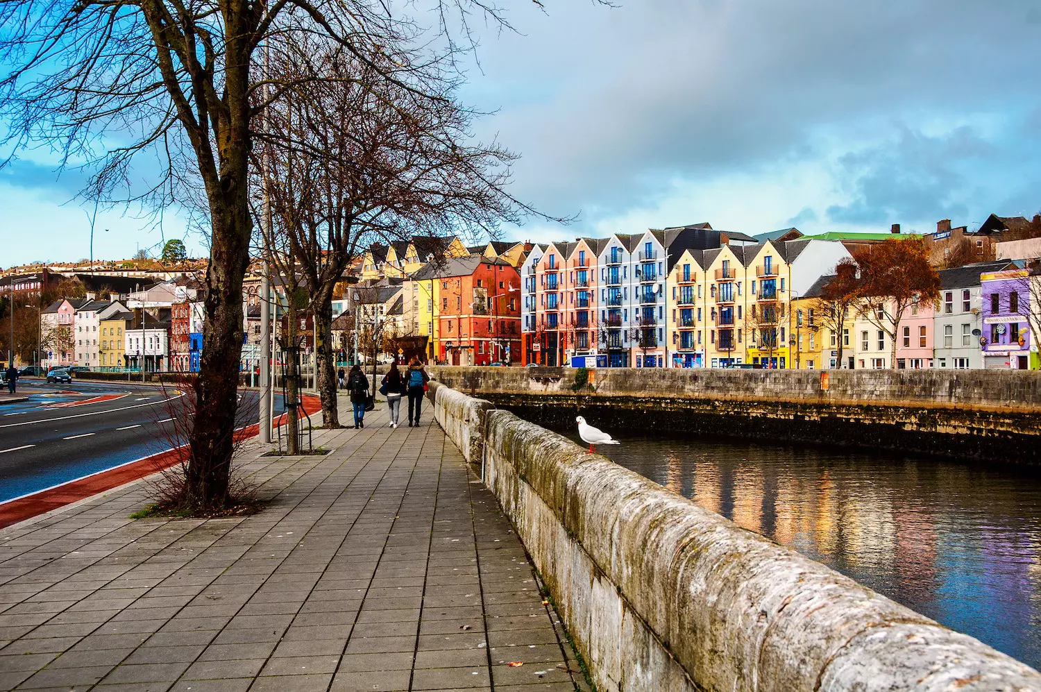 Walking along the edge of the River Lee, Cork, Ireland. Madrugada Verde/Shutterstock