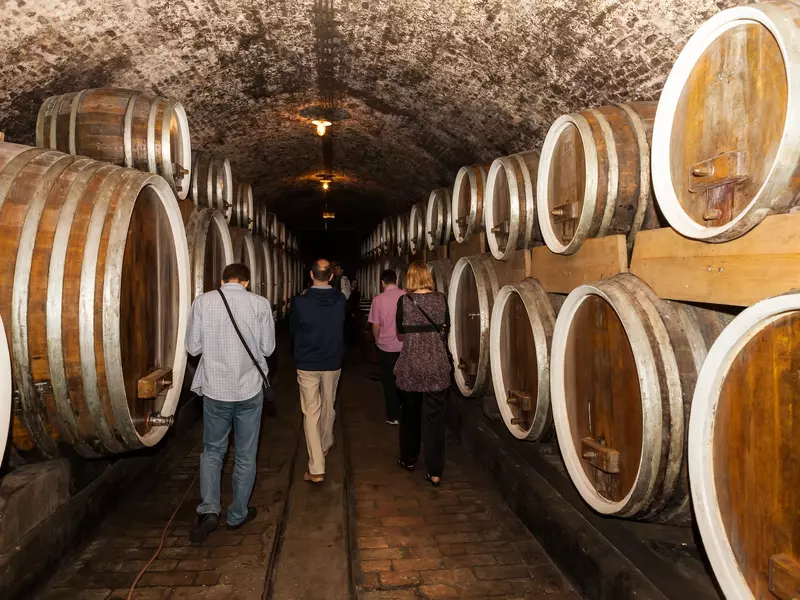 People walk through a dark wine cellar with large wooden barrels on either side.