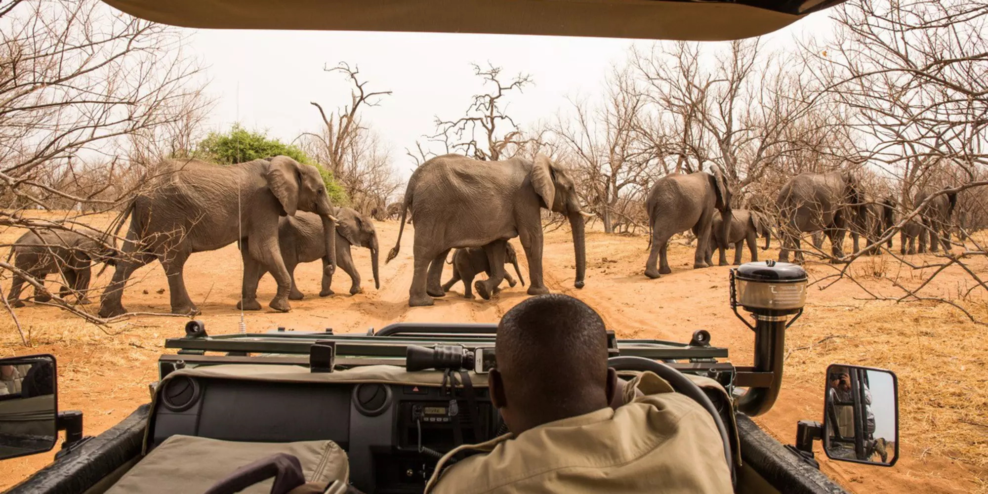 Janelle Lugge / Shutterstock