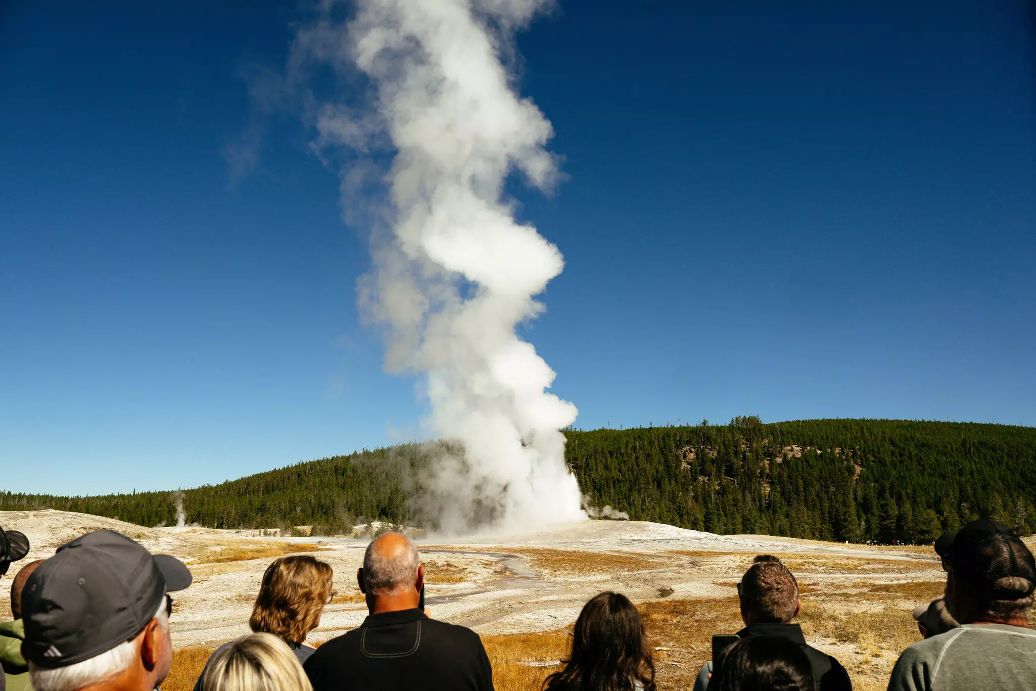 A geyser spews steam into a clear, dark blue sky as people watch