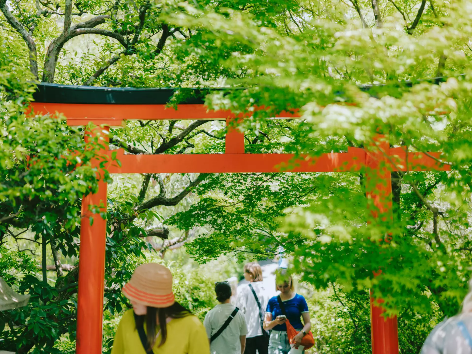 Ryōan-ji Buddhist temple with zen rock garden with tourists emerging and summer trees