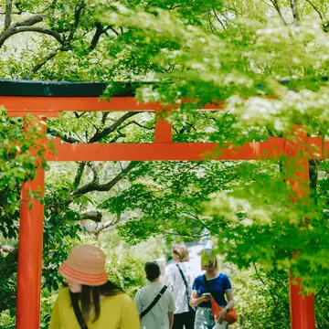 Ryōan-ji Buddhist temple with zen rock garden with tourists emerging and summer trees