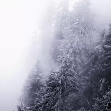 Grouse Mountain