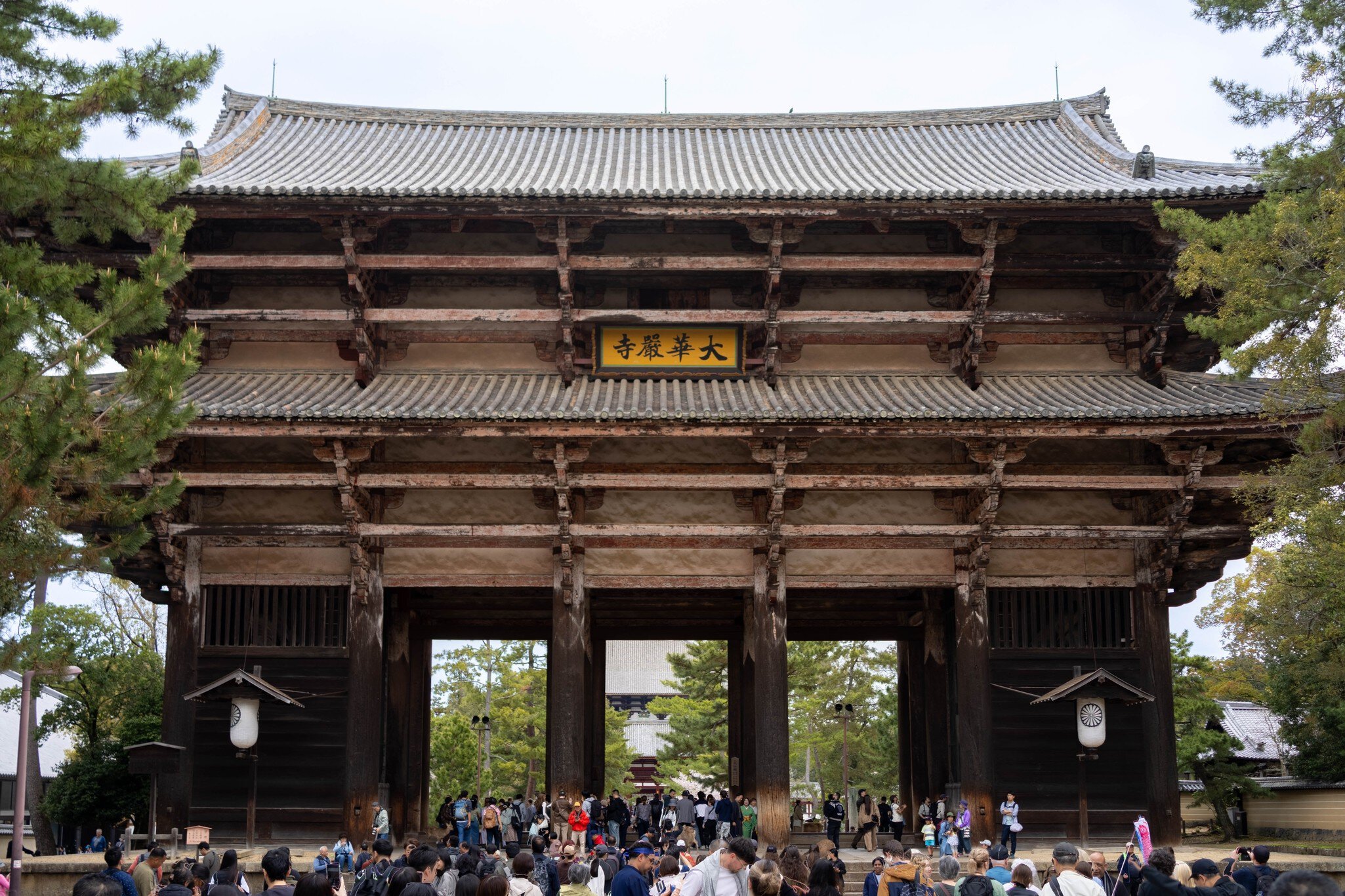 Nara, Japan - April, 5th, 2026: Crowd of people at the Nandaimon gate of the Todai-ji temple in the Nara-Koen park, Nara, Japan, License Type: media, Download Time: 2026-05-29T19:42:40.000Z, User: LP_NZhan, Editorial: true, purchase_order: 65050 - Digital Destinations and Articles, job: App Content, client: Lonely Planet App, other: Nadine