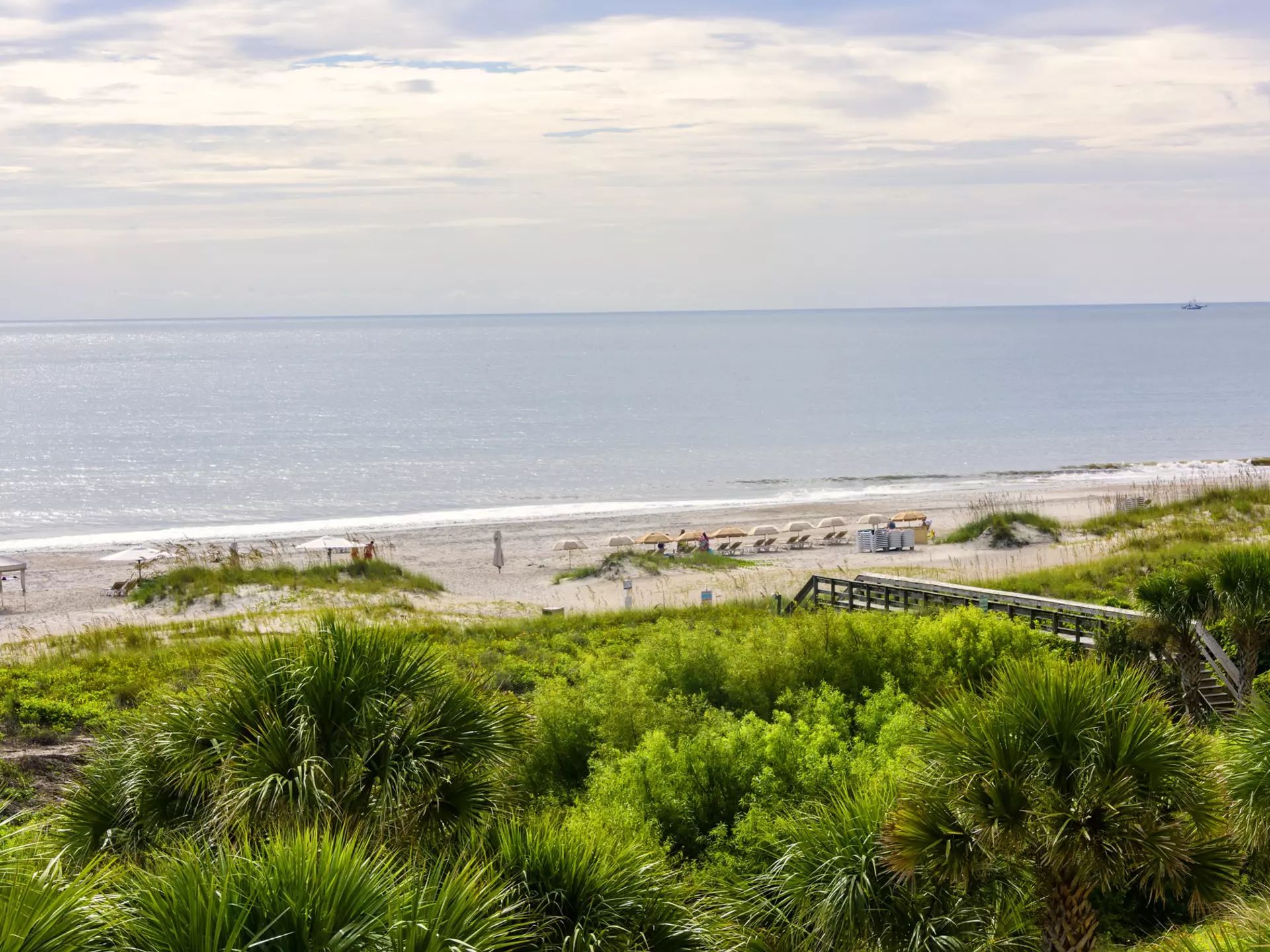 A vast sandy beach backed with dunes. A few loungers are lined up together