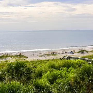 A vast sandy beach backed with dunes. A few loungers are lined up together