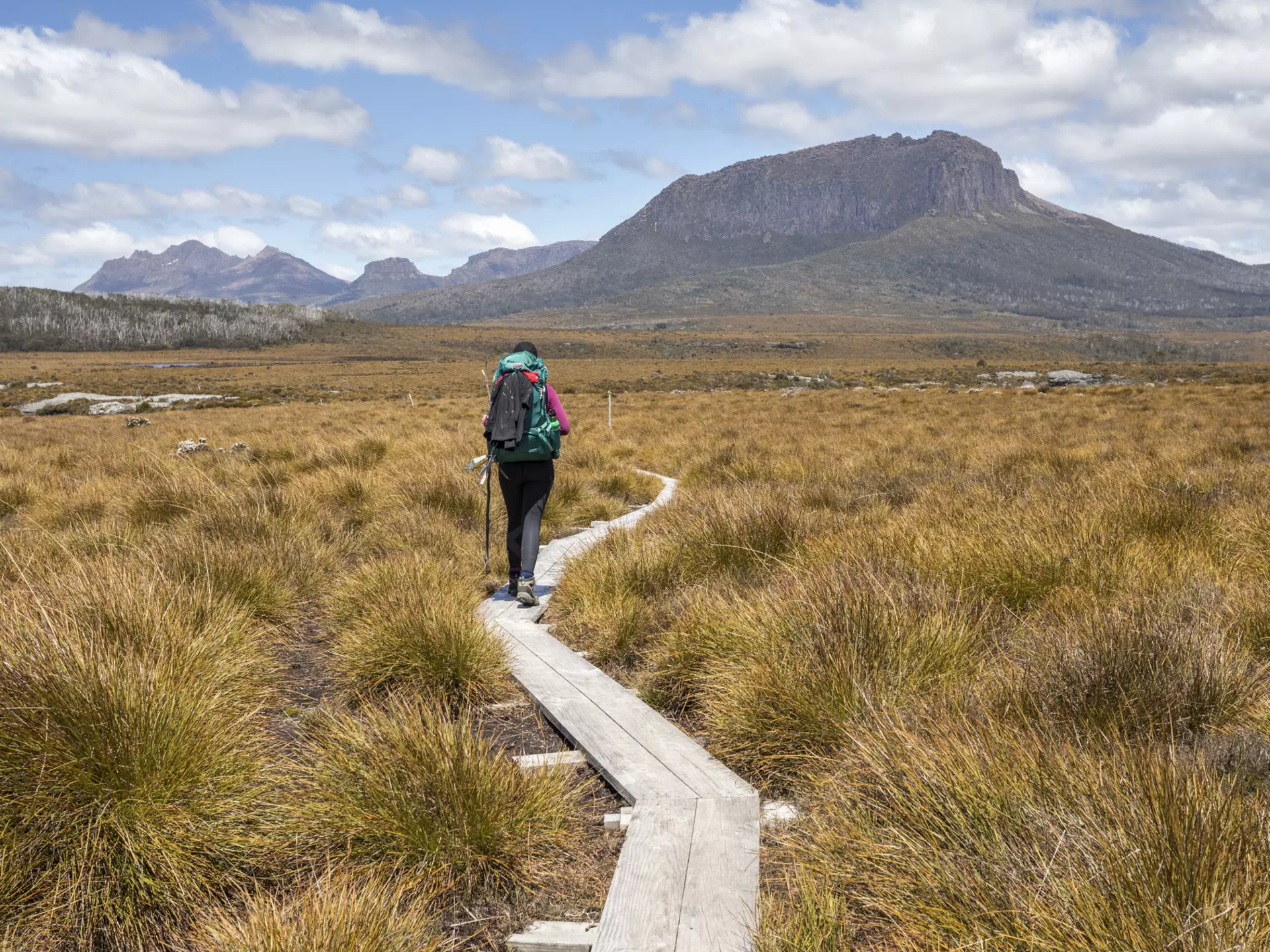 A lone hiker walking through the grassy plains of the Overland track. The iconic Overland Track in Tasmania is Australia's most famous hiking track. The 65-kilometre track runs from Cradle mountain to Lake St Clair. The track goes through a changing terrain ranging from rugged mountains, alpine plains and temperate rain forest and all located in the Tasmanian Wilderness World Heritage Area. Walkers take on average 6 days to complete the track.
641925512
Overland track hiker
