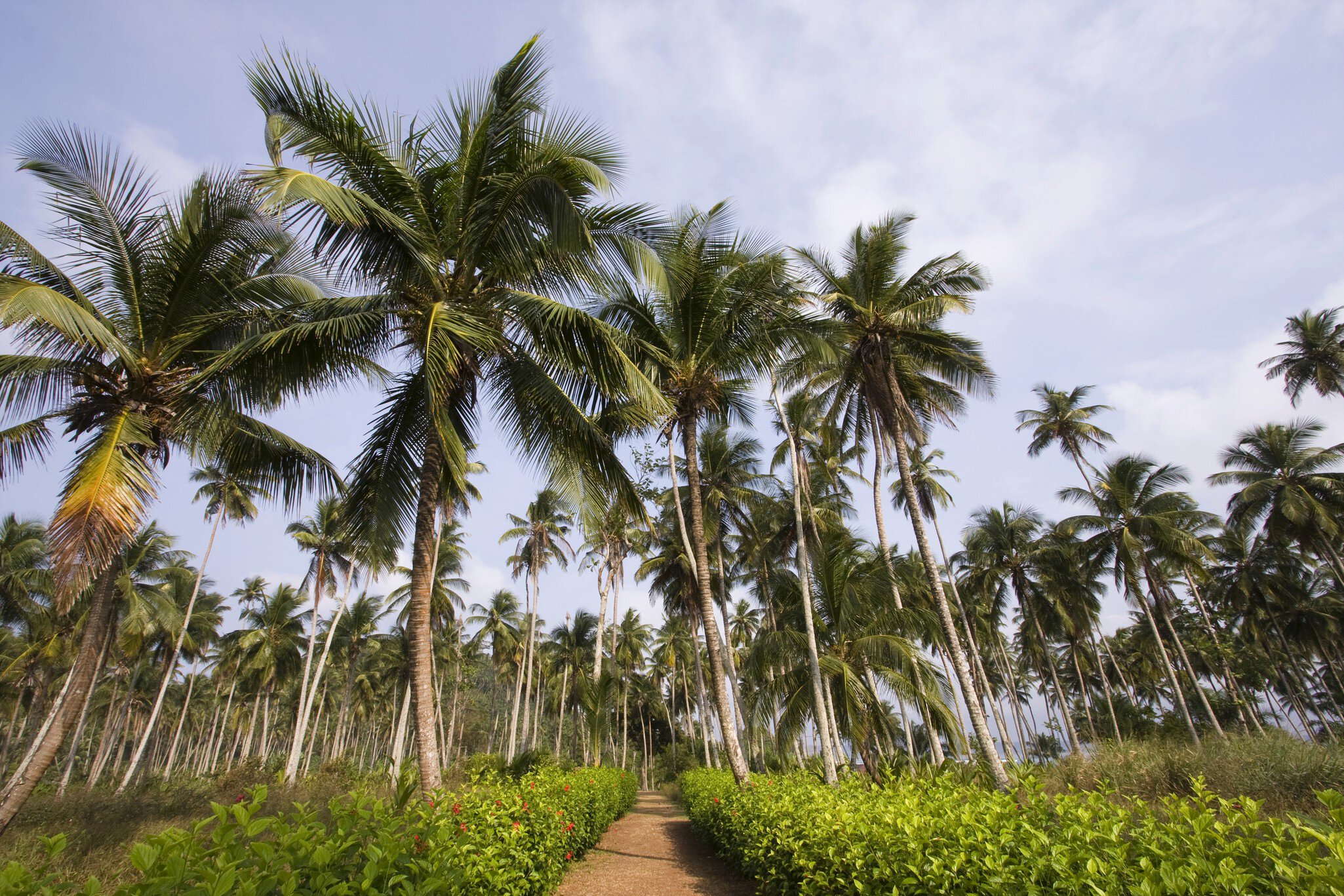 path to the tropical vacation
CLEARED FOR DIGITAL USE ONLY -