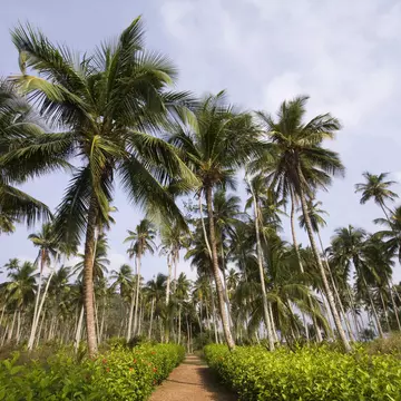 path to the tropical vacation
CLEARED FOR DIGITAL USE ONLY -