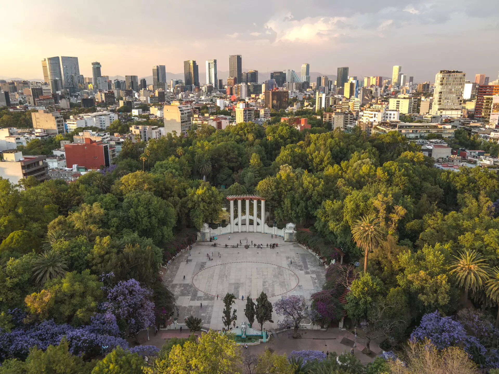 Read on for our local's guide to Mexico City's most vibrant neighborhoods to spend your time in. Karla Fajardo/Shutterstock