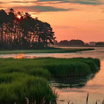 Sunset in the marshes of Chincoteague National Wildlife Refuge in Virginia; Shutterstock ID 1031128801;