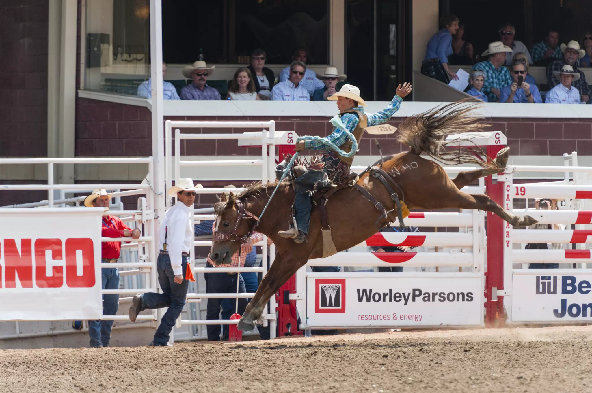 A horseback rider rides a brown horse bareback with crowds of onlookers in an arena as the horse kicks its hind legs high in the air.
