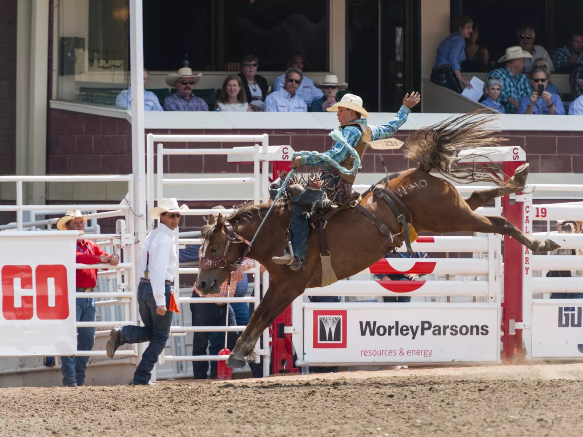 A horseback rider rides a brown horse bareback with crowds of onlookers in an arena as the horse kicks its hind legs high in the air.
