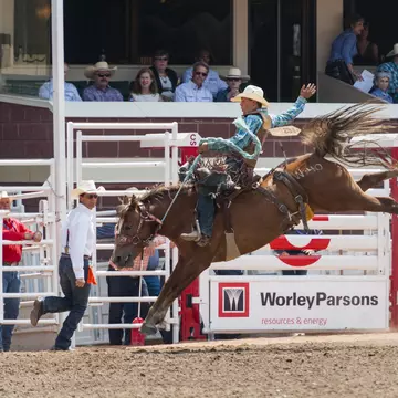 A horseback rider rides a brown horse bareback with crowds of onlookers in an arena as the horse kicks its hind legs high in the air.