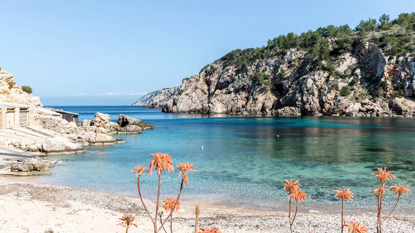 The secluded Cala d’en Serra beach on Ibiza’s northern shore ©Annapurna Mellor/Lonely Planet