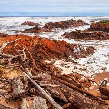 Wild and desolate coastline at "The Edge of the World", the longest uninterrupted expanse of ocean on earth. Gardiners Point, South of the Arthur River, Tasmania, Australia.    