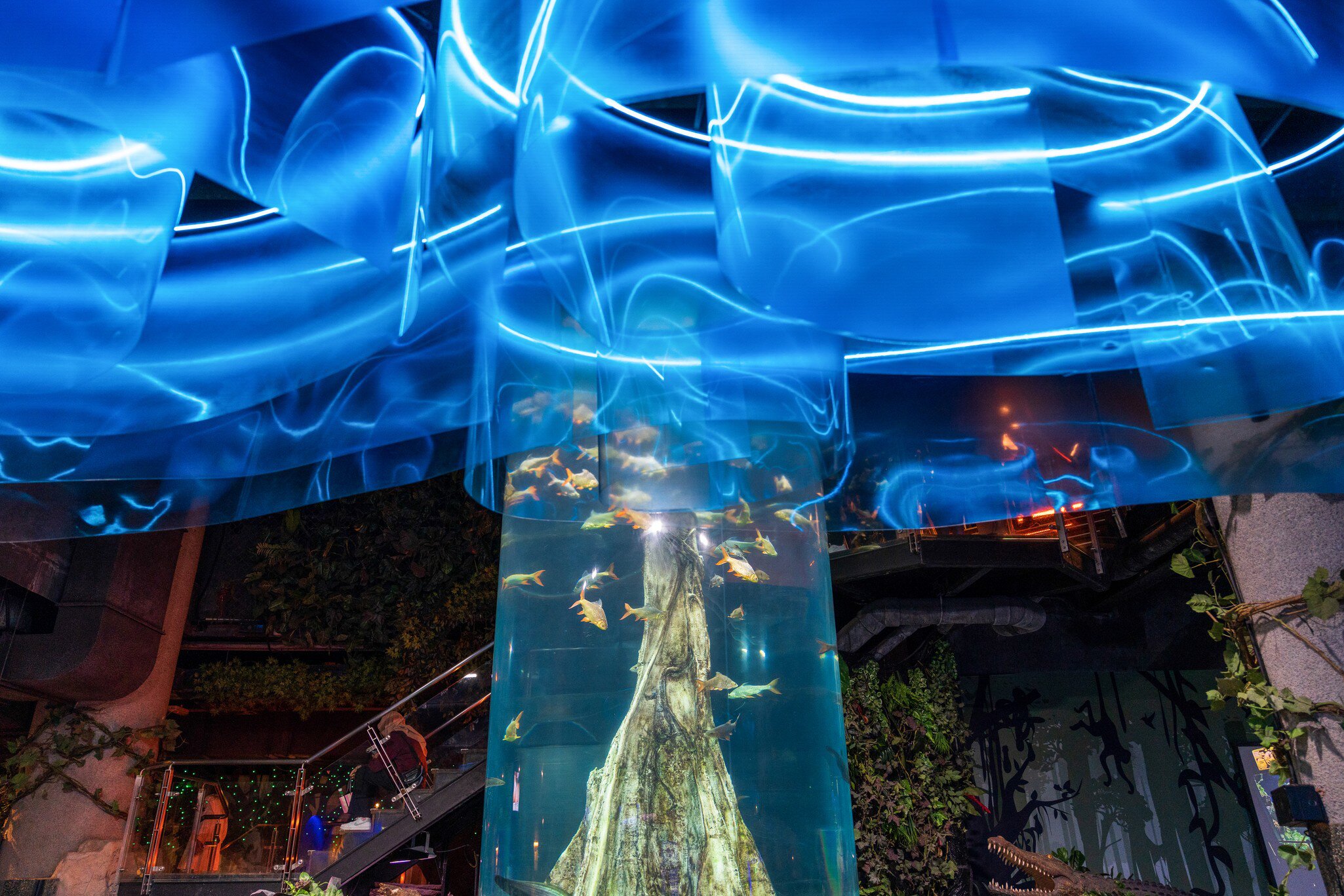 Kuala Lumpur - Best in Travel 2023 - October 2022
Aquaria KLCC. Kuala Lumpur - Best in Travel 2023 - October 2022