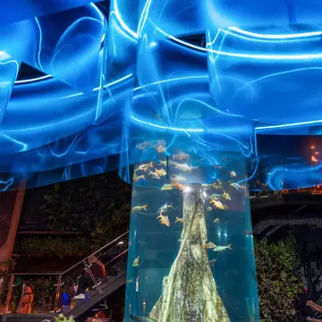 Kuala Lumpur - Best in Travel 2023 - October 2022
Aquaria KLCC. Kuala Lumpur - Best in Travel 2023 - October 2022