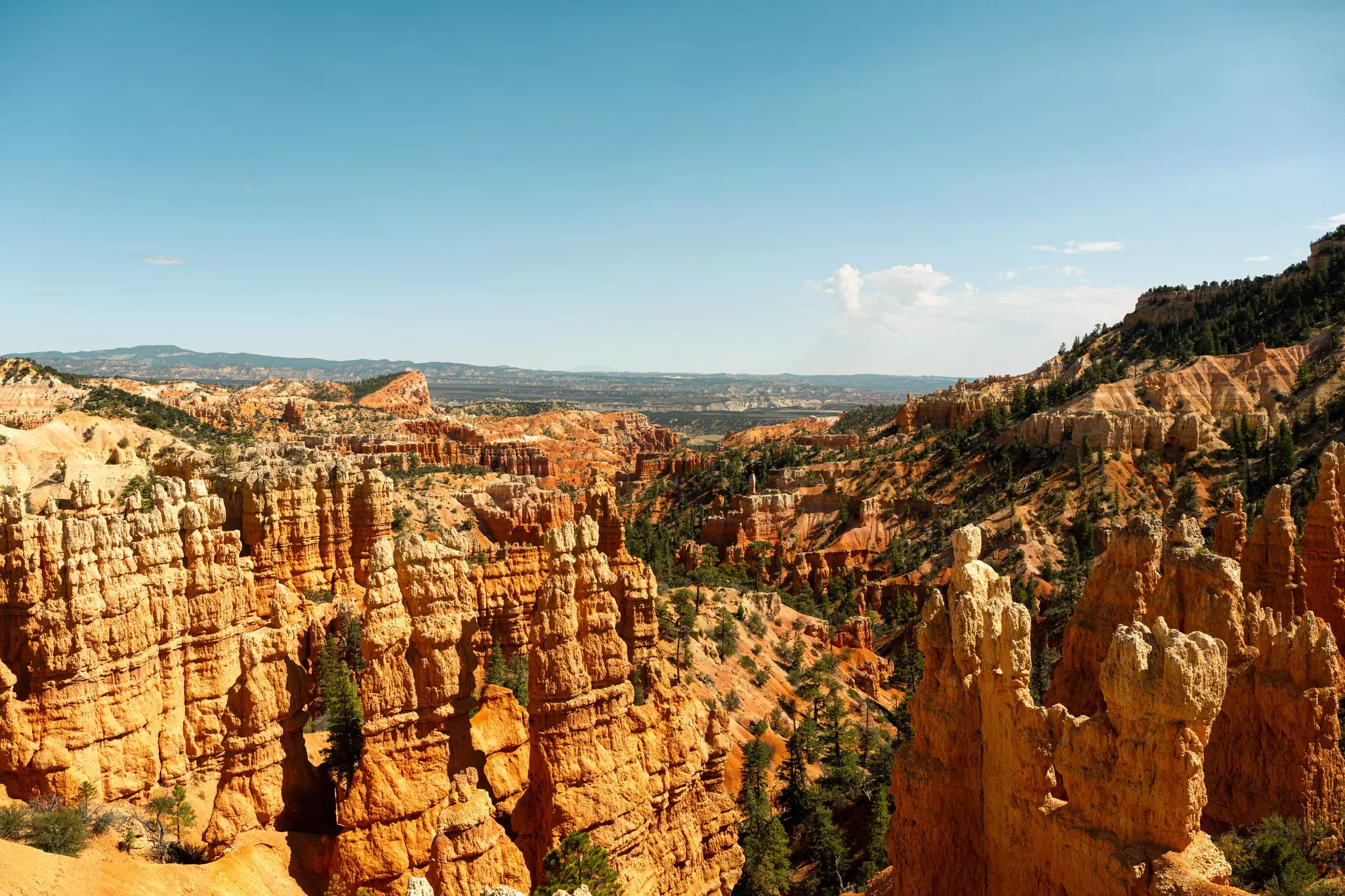 Rocky canyons in Bryce Canyon National Park, Utah, USA.