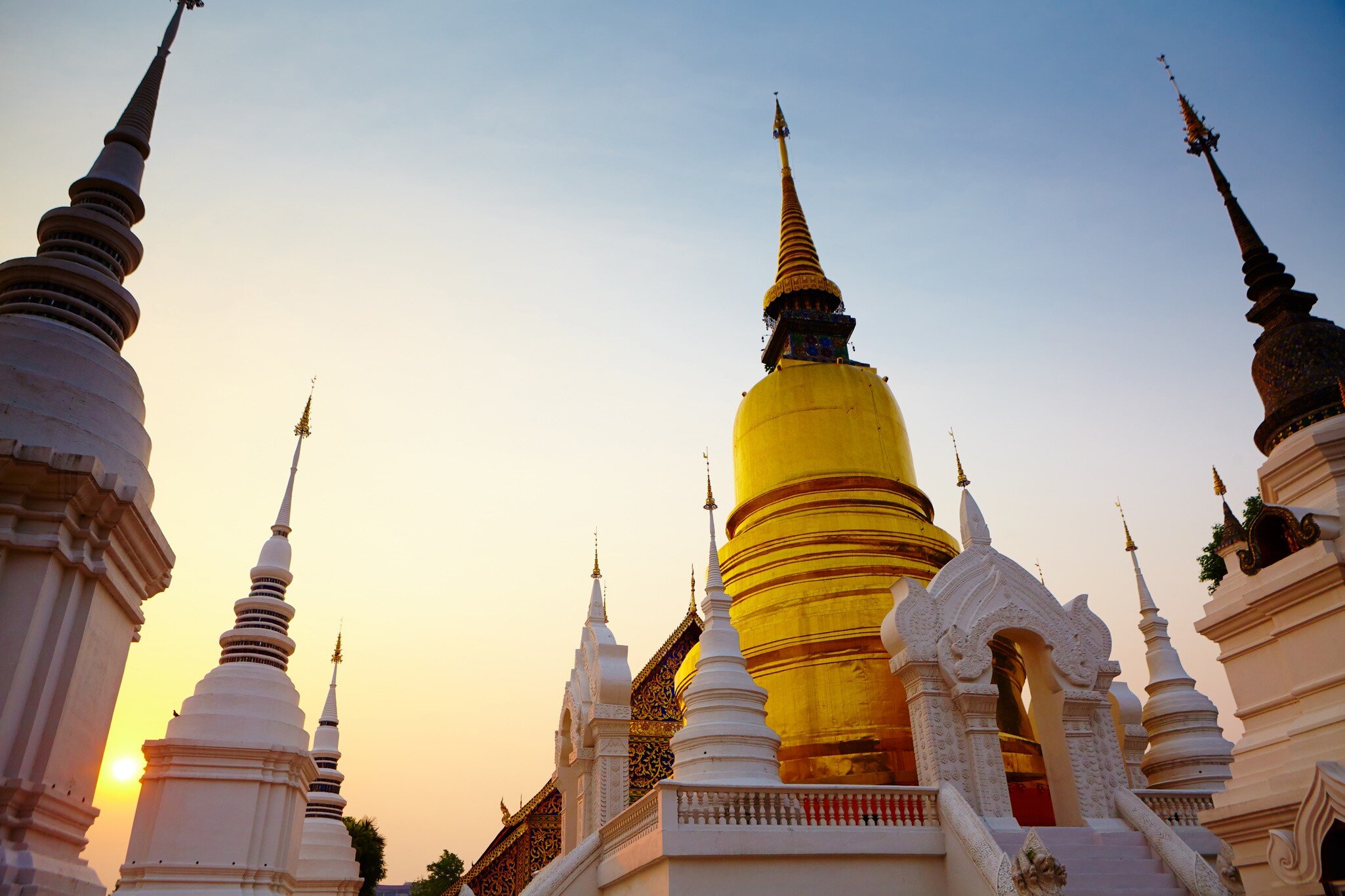 The golden pagoda at Wat Suan Dok temple in Chiang Mai, Thailand. Low-angle, sunset behind monuments.