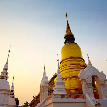 The golden pagoda at Wat Suan Dok temple in Chiang Mai, Thailand. Low-angle, sunset behind monuments.