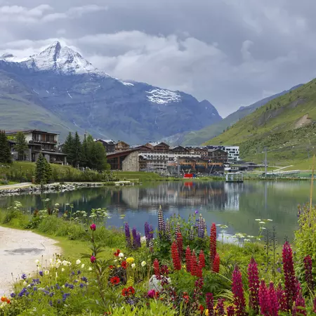 Alpine town overlooking a lake with wildflowers blooming in the foreground.