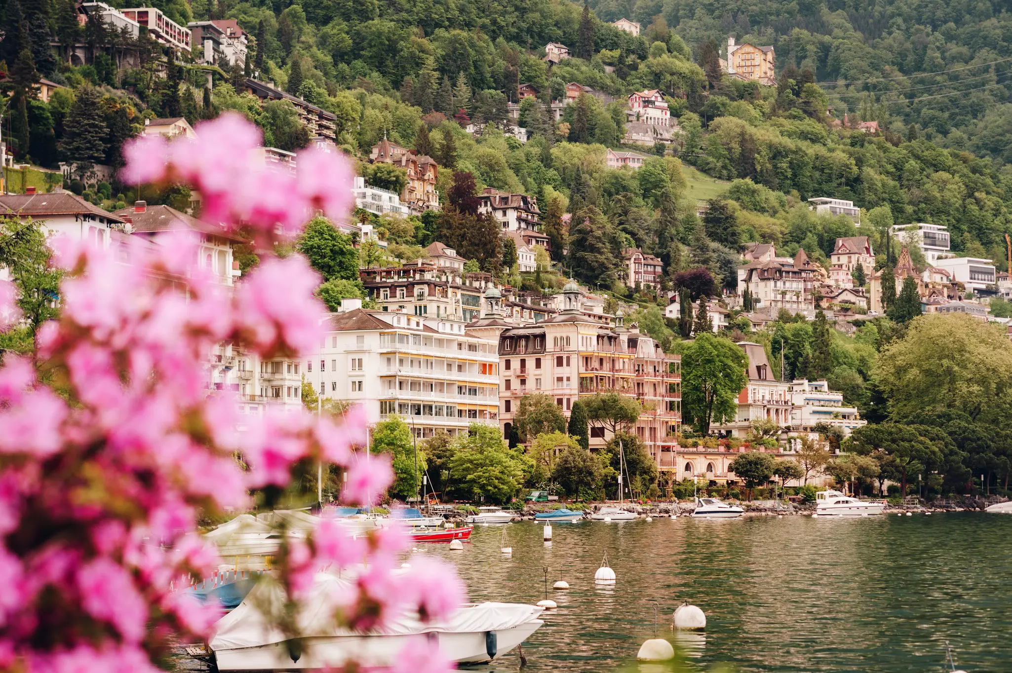 Buildings lining a lake and clustered on a mountainside. Pink flowers are in the foreground, and small boats float in the lake.