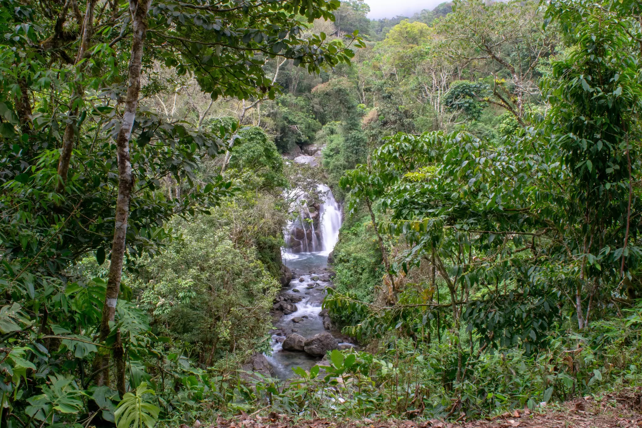 Waterfall in the Cloudbridge Reserve, San Gerardo de Rivas, Costa Rica.