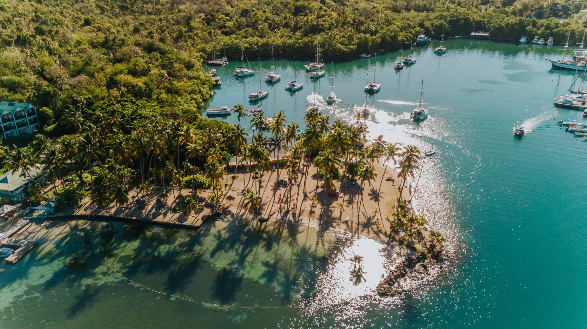 Tropical sandy island with palm trees in a blue lagoon, exotic bay in the Caribbean island, sailboats anchoring in a bay, yachting lifestyle in Marigot Bay of St Lucia