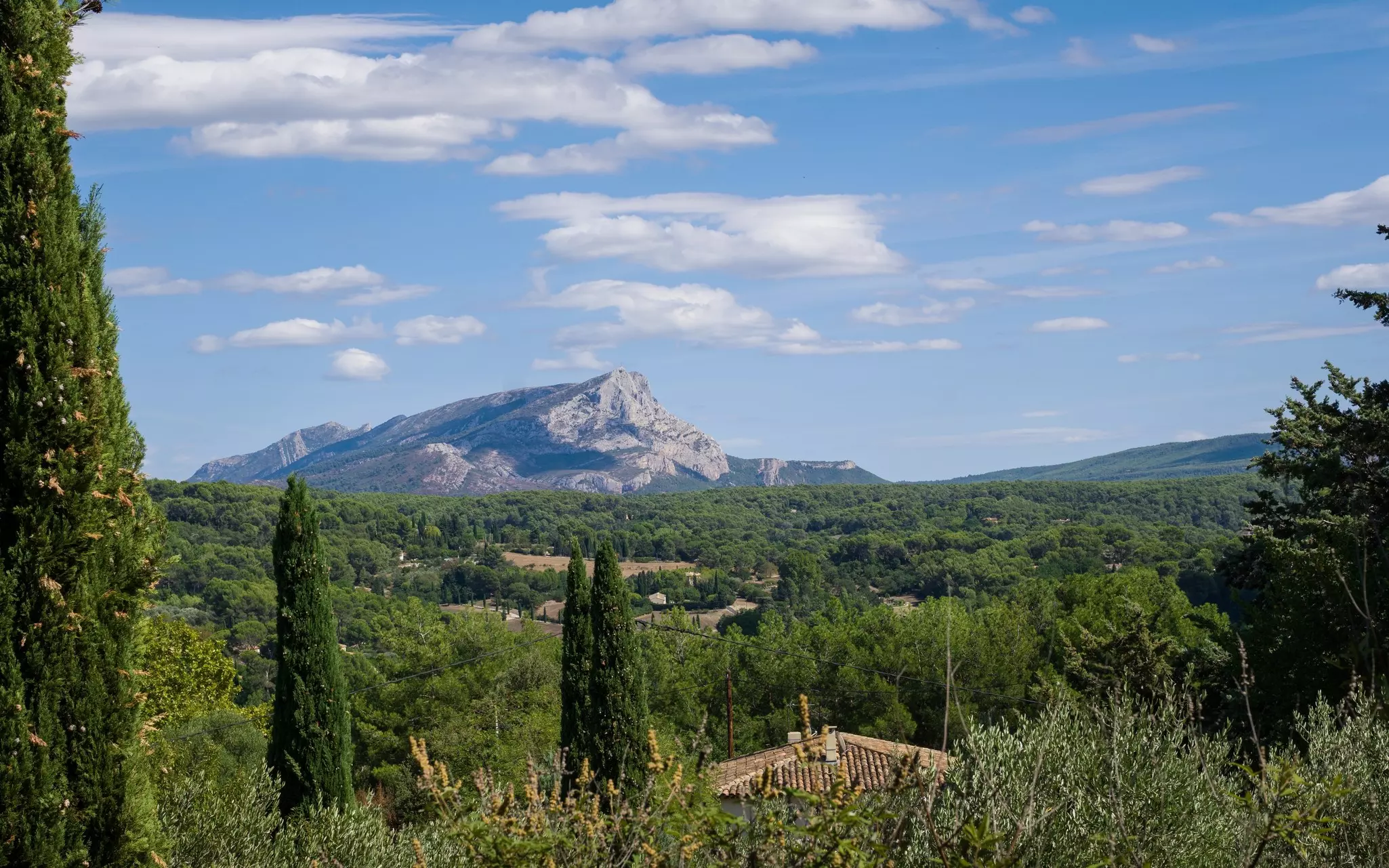 A rocky peak in the distance with evergreens, shrubs, and a tiled roof in the foreground on a sunny day.