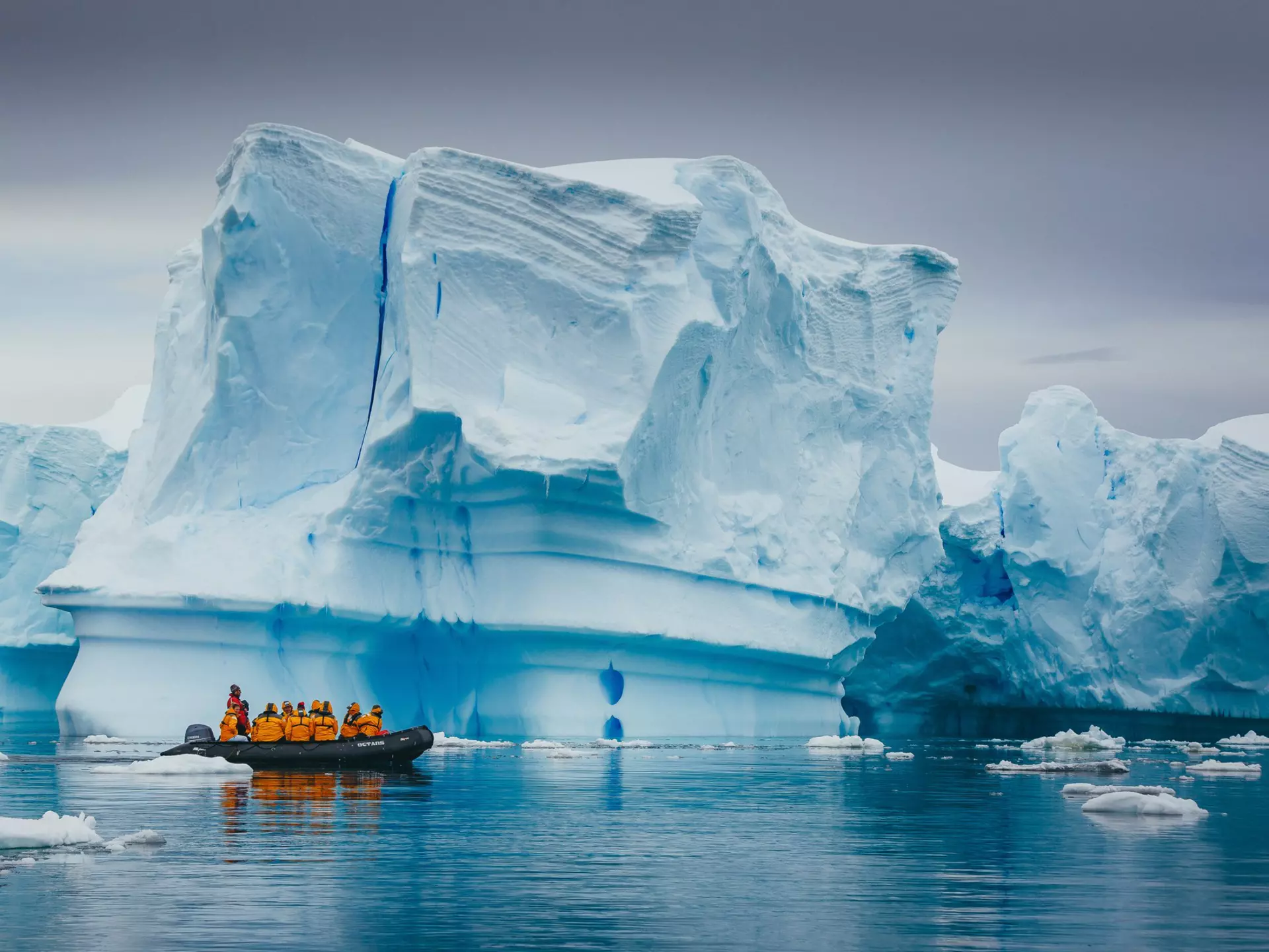 Most operators have cancelled cruises to Antarctica this year © David Merron Photography / Getty Images