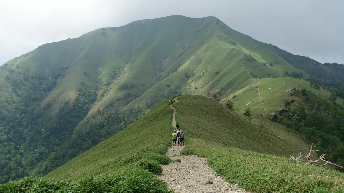 A wide-angle shot of people walking a grass-lined trail on Mount Tsurugi
