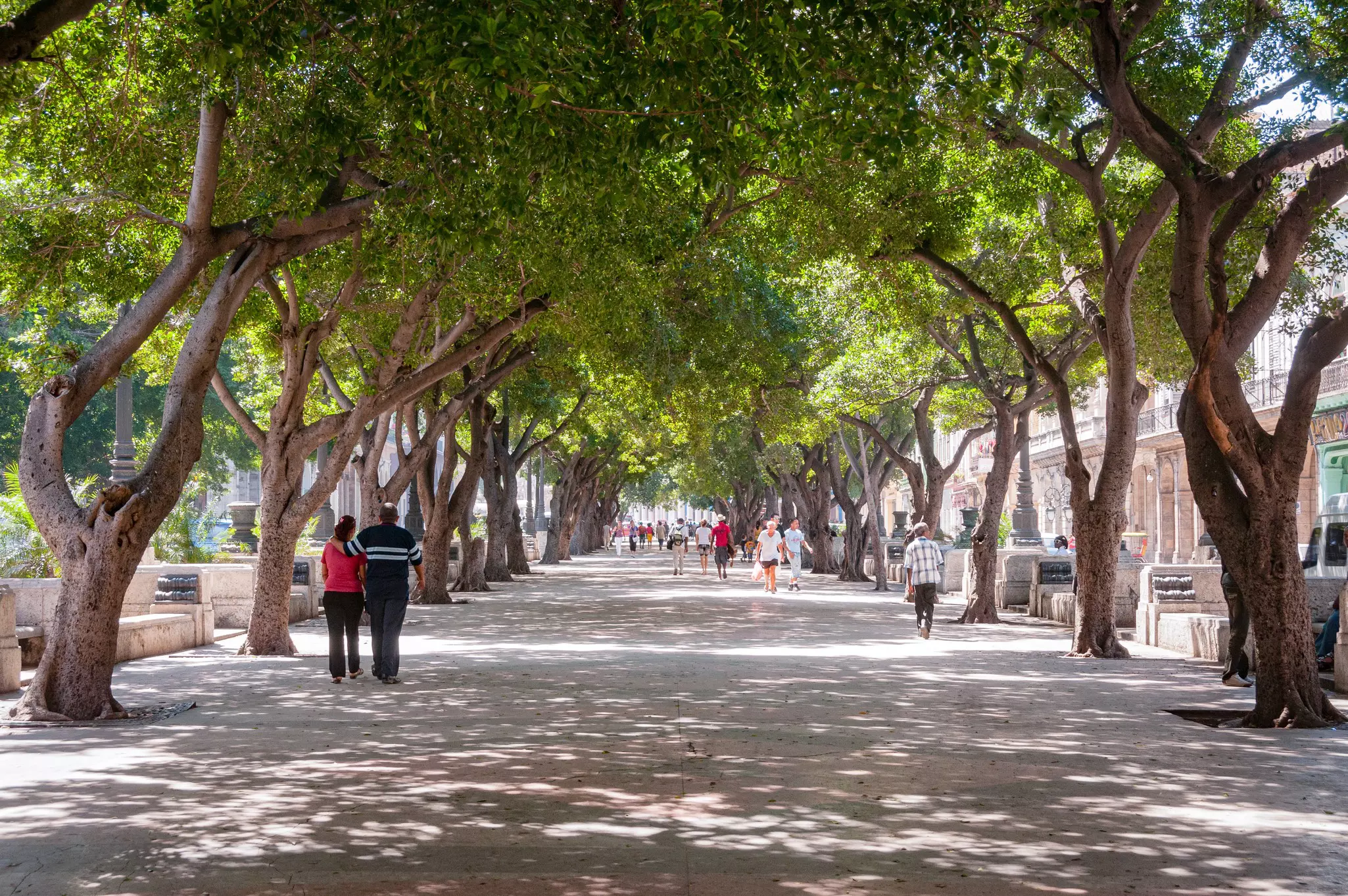 Centro Habana contains multitudes, from boisterous quarters to marvelous museums © John Elk III / Getty Images
