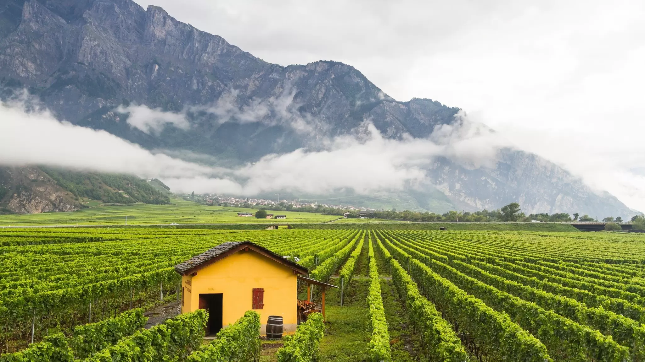 The canton of Valais has vertiginous peaks, charming villages, vineyards (like the ones around Sierre, pictured) and much more. Milosz Maslanka/Shutterstock