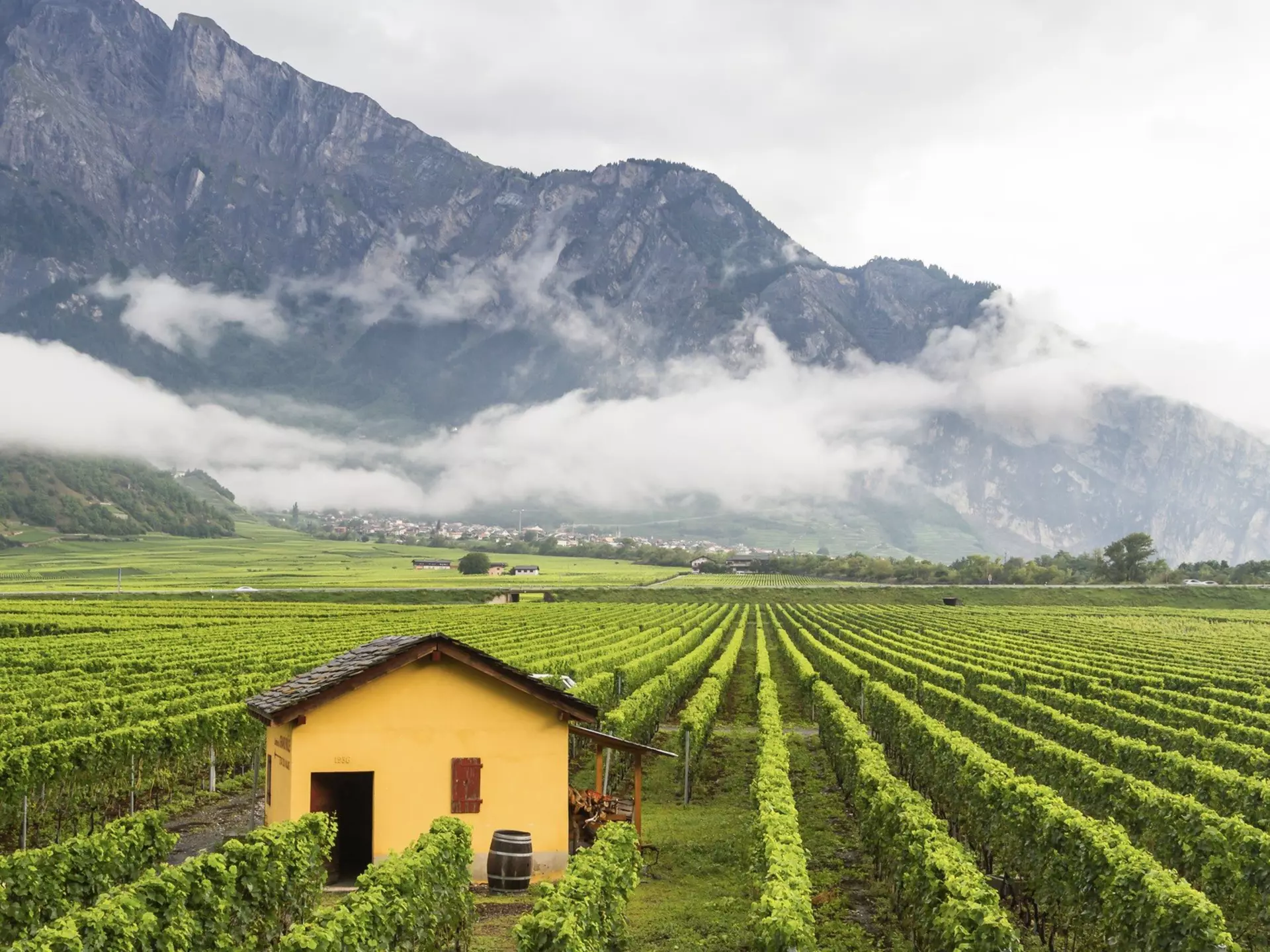 The canton of Valais has vertiginous peaks, charming villages, vineyards (like the ones around Sierre, pictured) and much more. Milosz Maslanka/Shutterstock