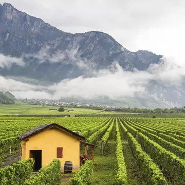 The canton of Valais has vertiginous peaks, charming villages, vineyards (like the ones around Sierre, pictured) and much more. Milosz Maslanka/Shutterstock