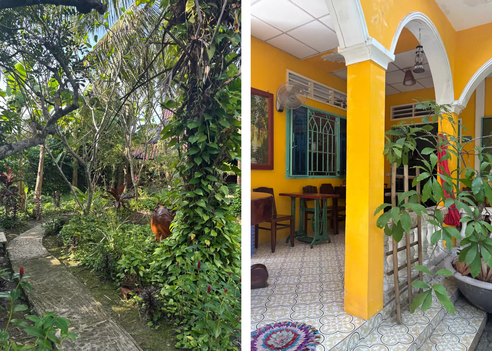 Left: A pathway through an overgrown garden. Right: a brightly colored yellow terrace of a homestay