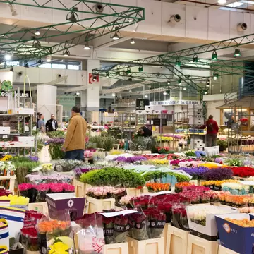 Paris, France / May 13th 2018: A wide angle photo includes people shopping for flowers at Rungis Market outside of Paris, France. Rungis Market is the largest horticulture market in the world.