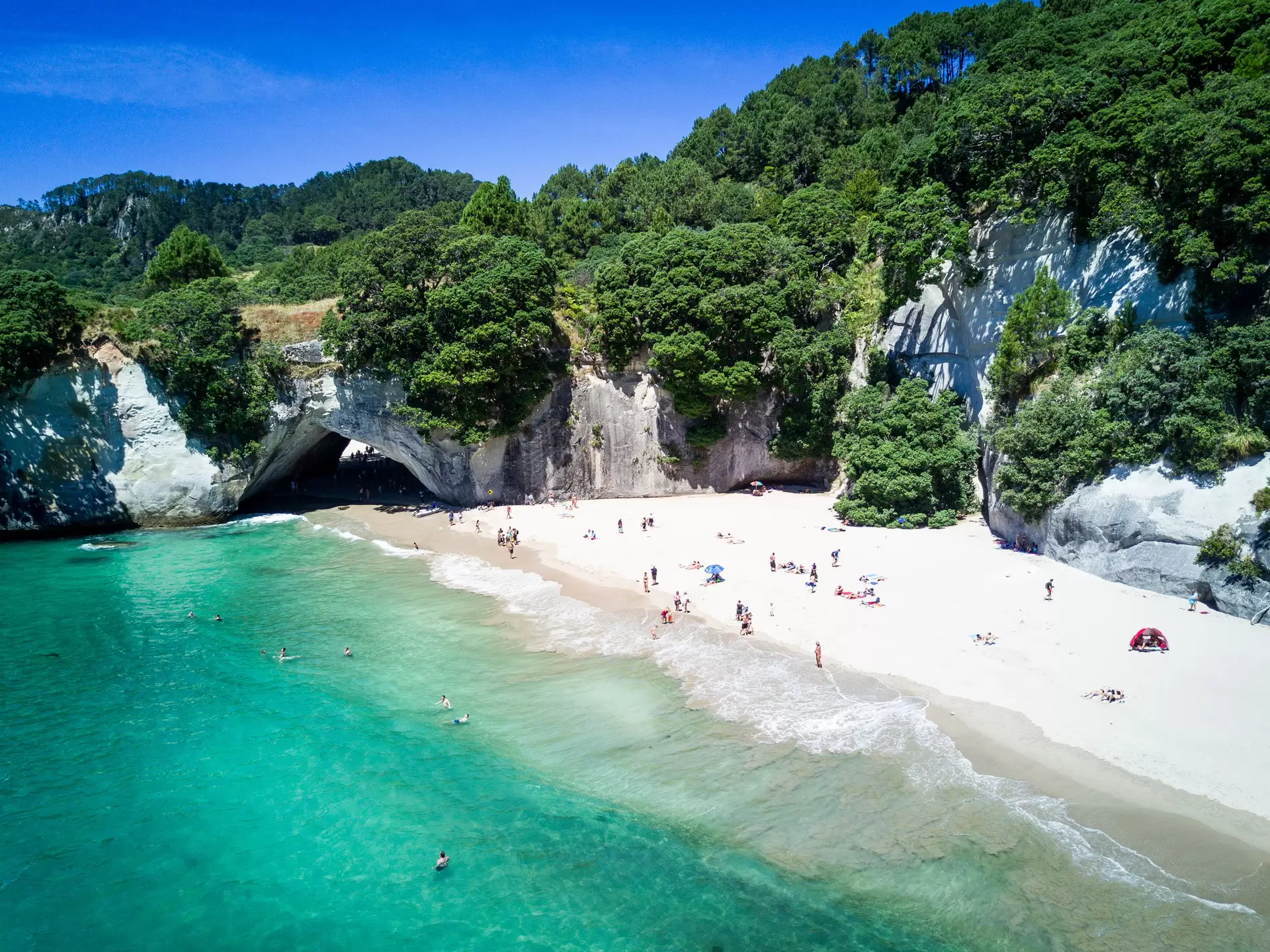 a beach with a backdrop of arches of rock and trees lining the rocks in New Zealand. 