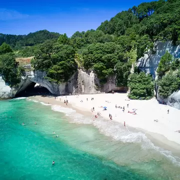 a beach with a backdrop of arches of rock and trees lining the rocks in New Zealand. 